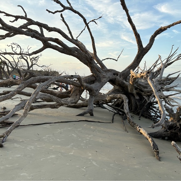 Meet your Posher, Mark n cindy - Picture 1 of 1